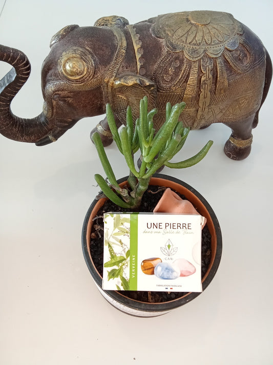 Savon Verveine